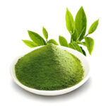 5A 30g 优质 Culinary 抹茶