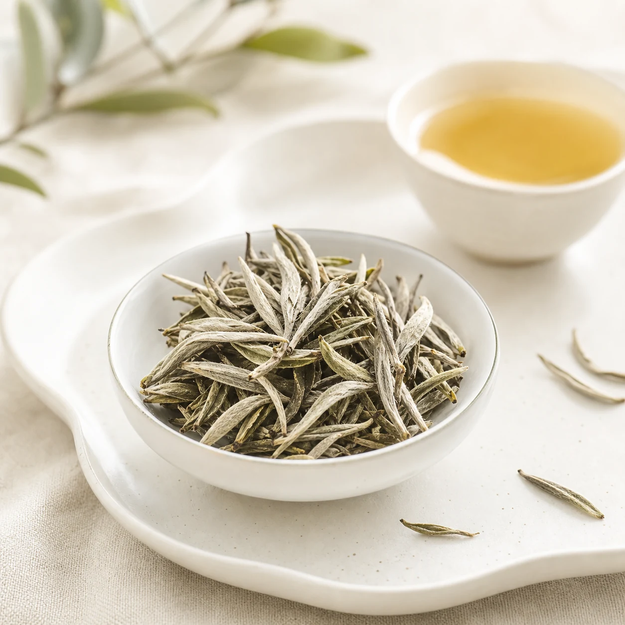 Madai generated product image – 白茶